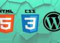 Web Design Course for Beginners to Intermediate
