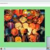 5 Projects In 5 Days – HTML, CSS, and JavaScript For Kids