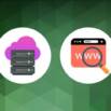Web Hosting 101