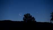 What’s Your Moon Sign?