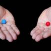 Why are you alive? – Key Existential ideas