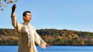 Wing Chun Techniques – Wooden Dummy Form Learn Martial Arts