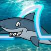 Wireshark Ninja | Mastering Real Wireshark & Packet Analysis