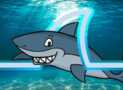 Wireshark Ninja | Mastering Real Wireshark & Packet Analysis