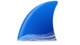 Wireshark Tutorial for IT Network Administrator