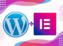 WordPress & Elementor 2025 Creative Website Design Bootcamp