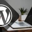 WordPress Theme Development From Scratch to Advanced