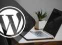 WordPress Theme Development From Scratch to Advanced