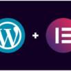 WordPress Web Design & Freelancing MasterClass [2025]