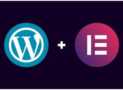 WordPress Web Design & Freelancing MasterClass [2025]