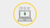 Working with MongoDB