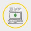 Working with MongoDB