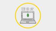 Working with MongoDB