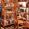 Writing and Publishing Your Bestselling Book