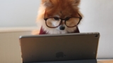 Xero Set Up: Small Business Accounting