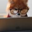 Xero Set Up: Small Business Accounting