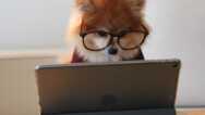 Xero Set Up: Small Business Accounting