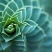 Yoga for Relieving Stress and Anxiety