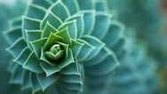 Yoga for Relieving Stress and Anxiety